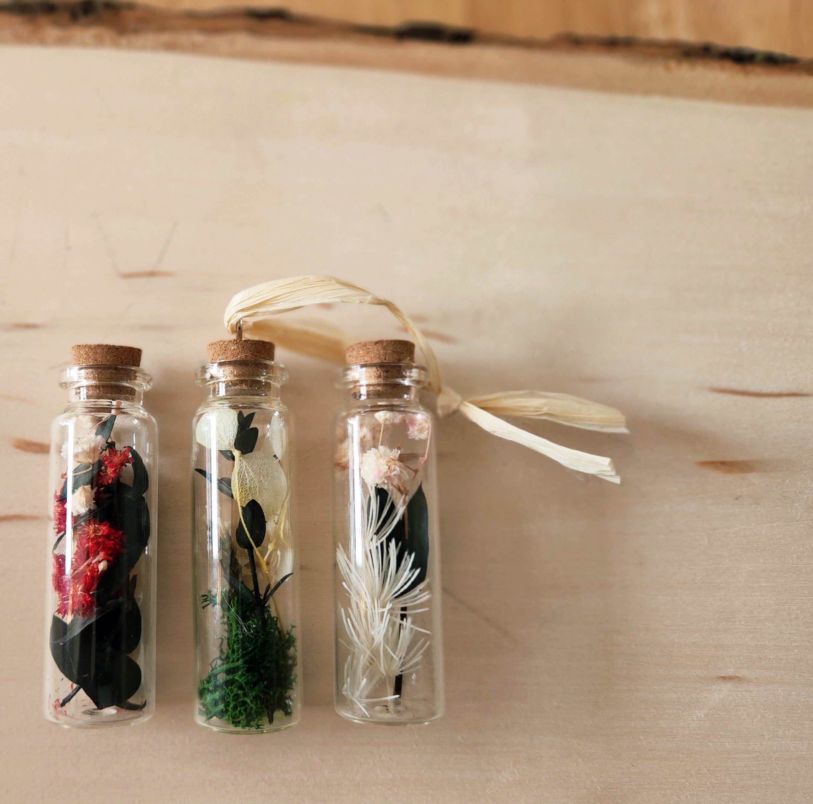 Small Herbarium Jars