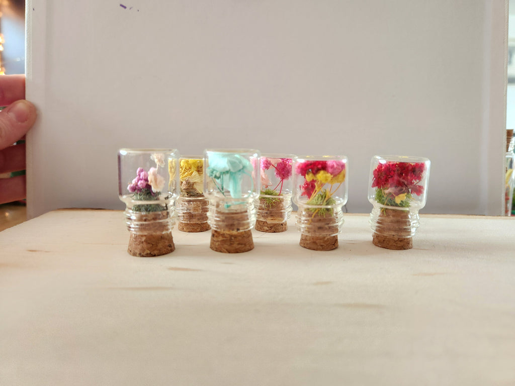 Extra Small Herbarium Jars