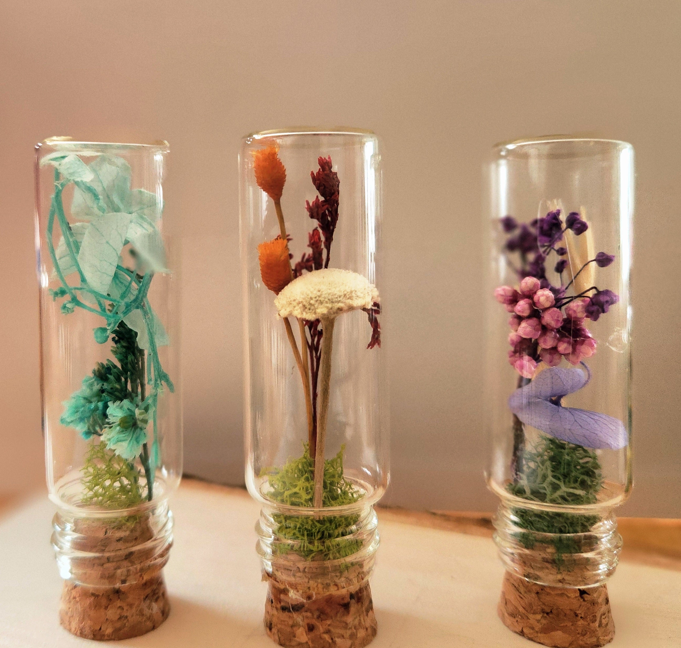 Small Herbarium Jars