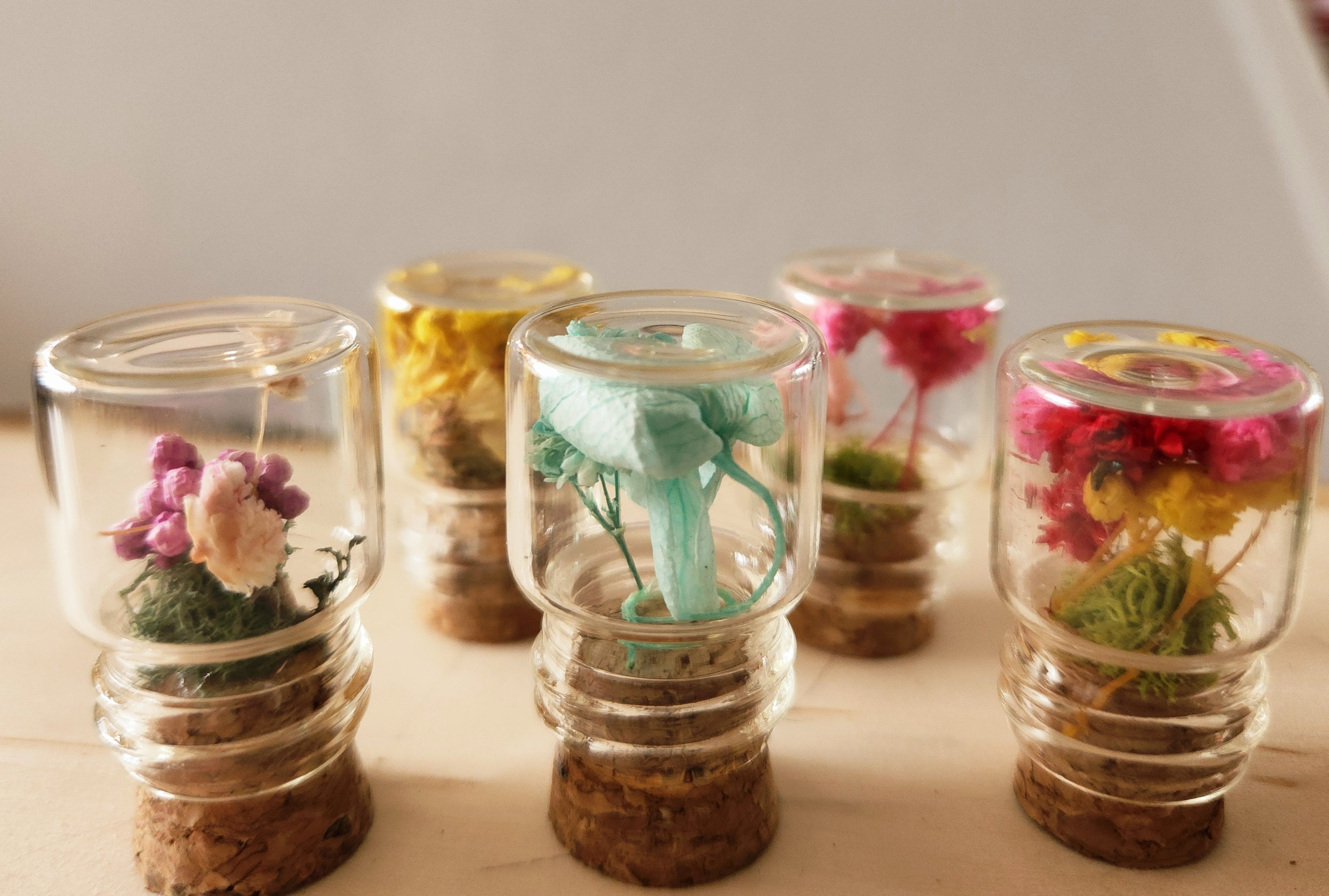 Extra Small Herbarium Jars