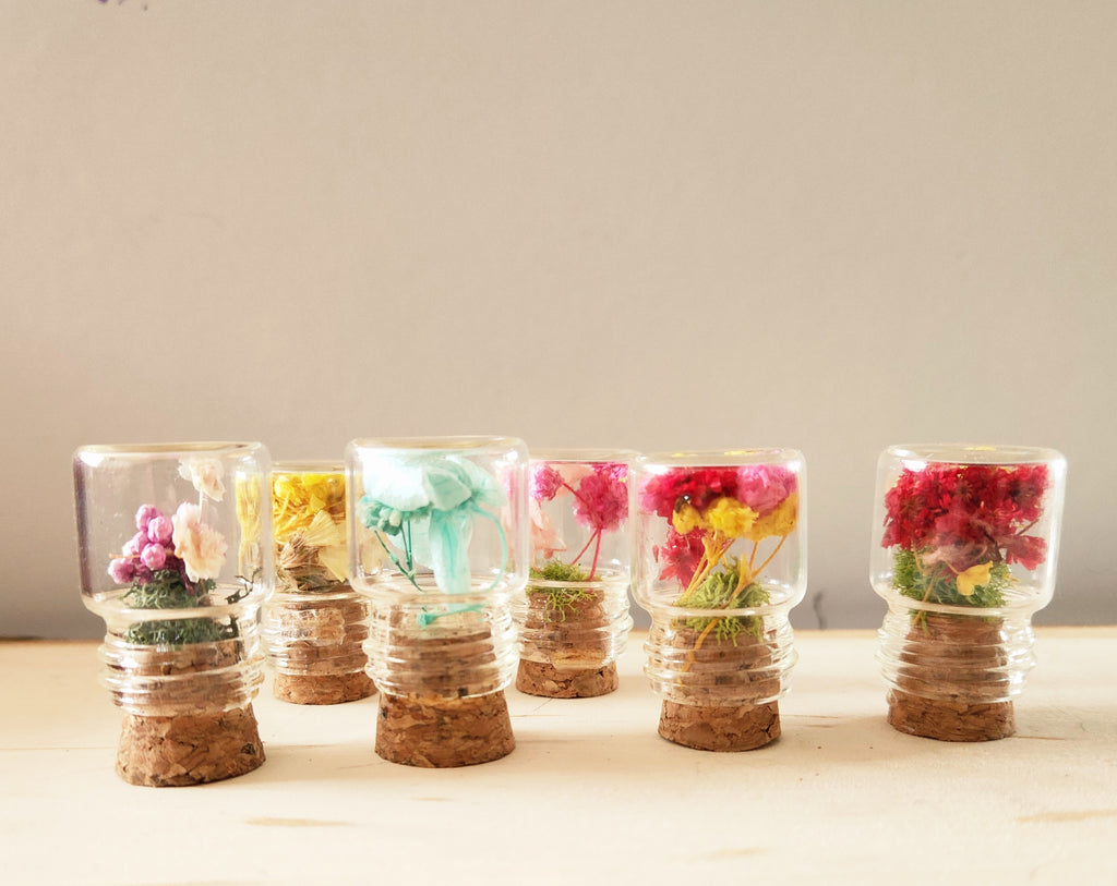 Extra Small Herbarium Jars