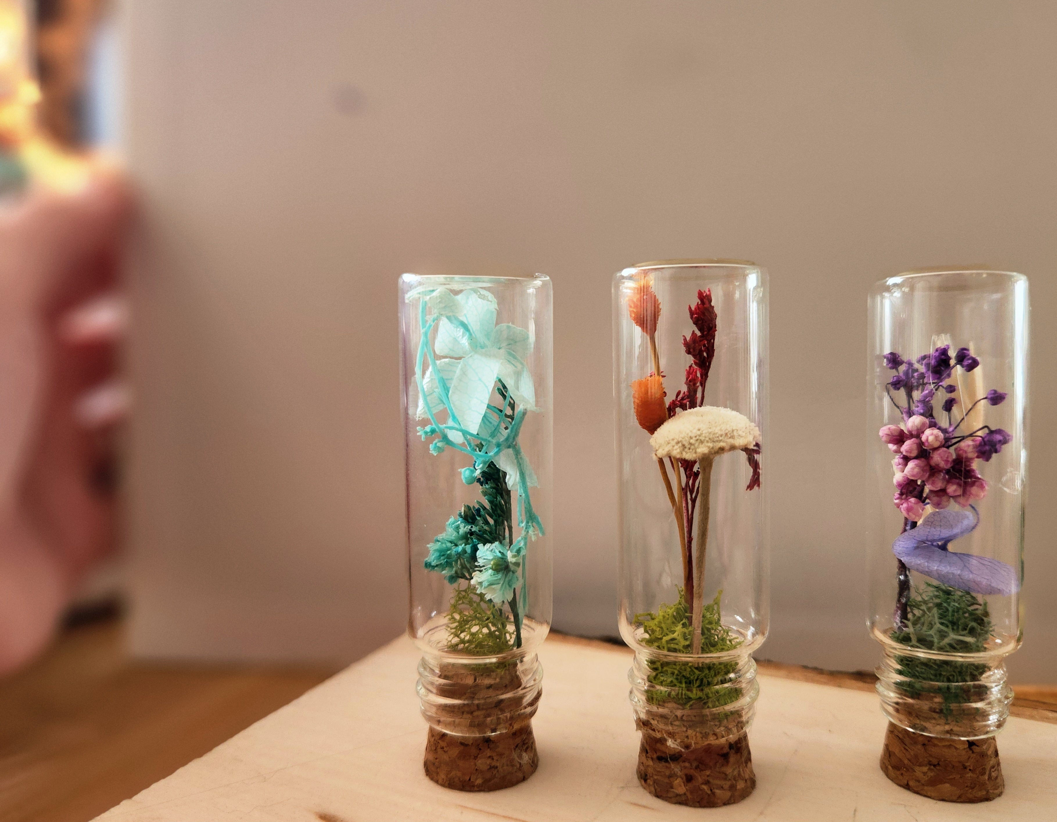 Small Herbarium Jars