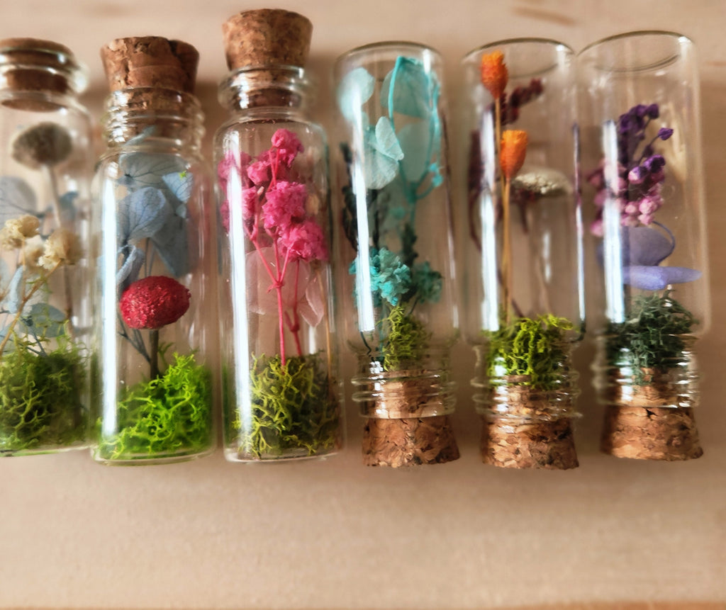 Small Herbarium Jars