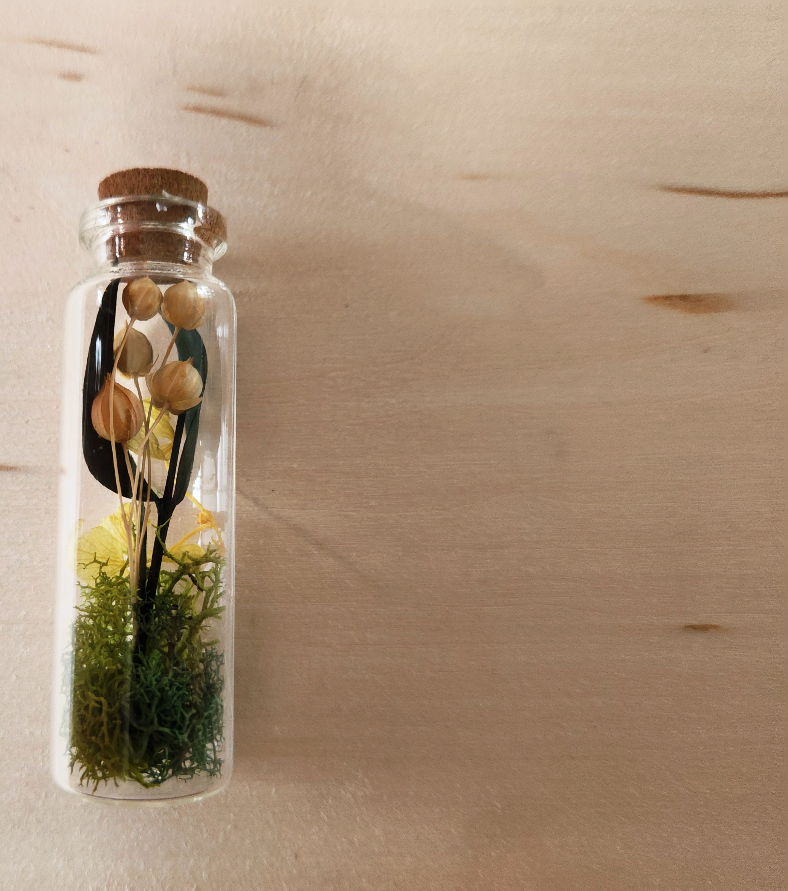Small Herbarium Jars